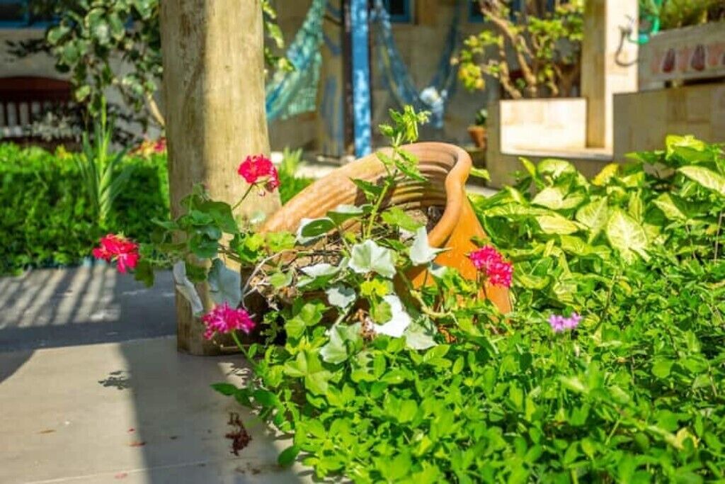 Photo of Outdoor in Morro da Cruz
