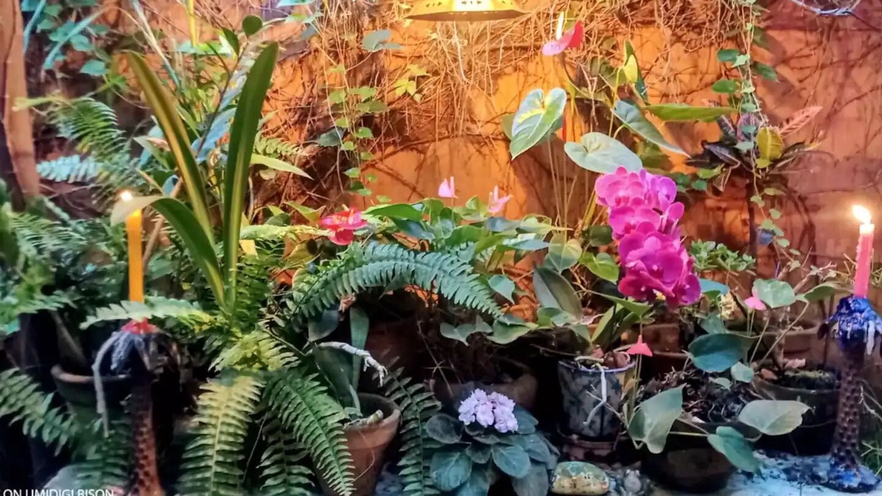 Photo of Outdoor in Costa Bela