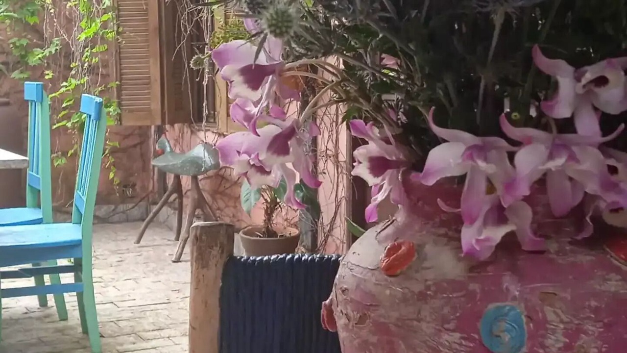 Photo of Outdoor in Costa Bela