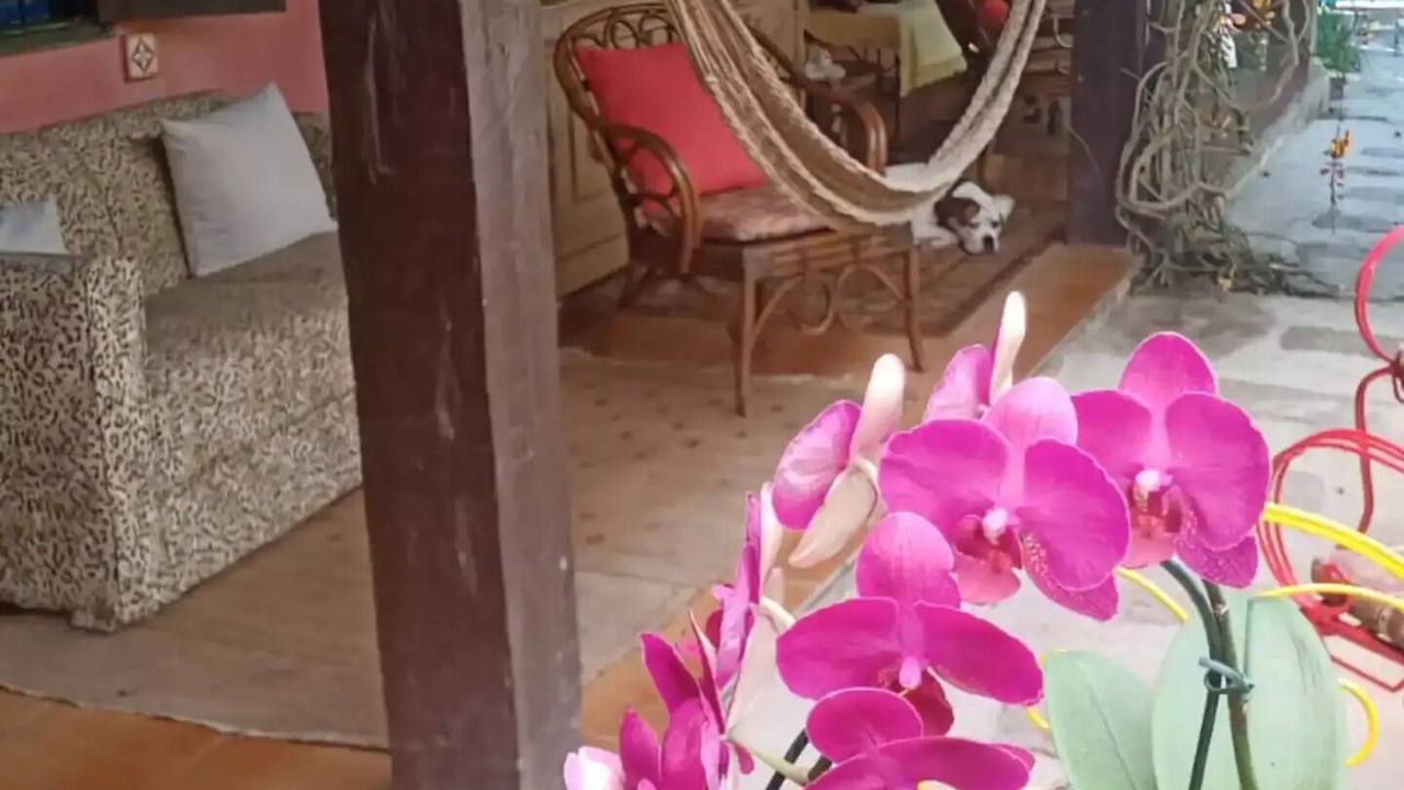 Photo of Outdoor in Costa Bela