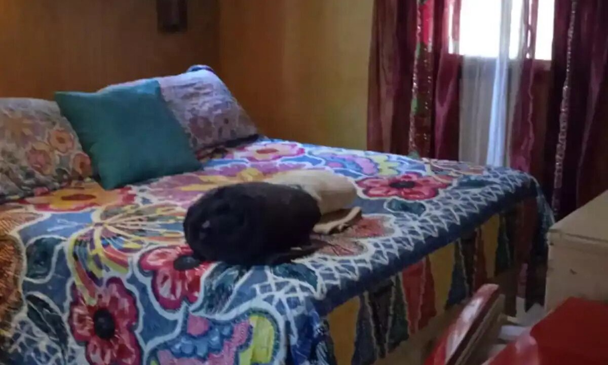 Photo of Bedroom in Costa Bela