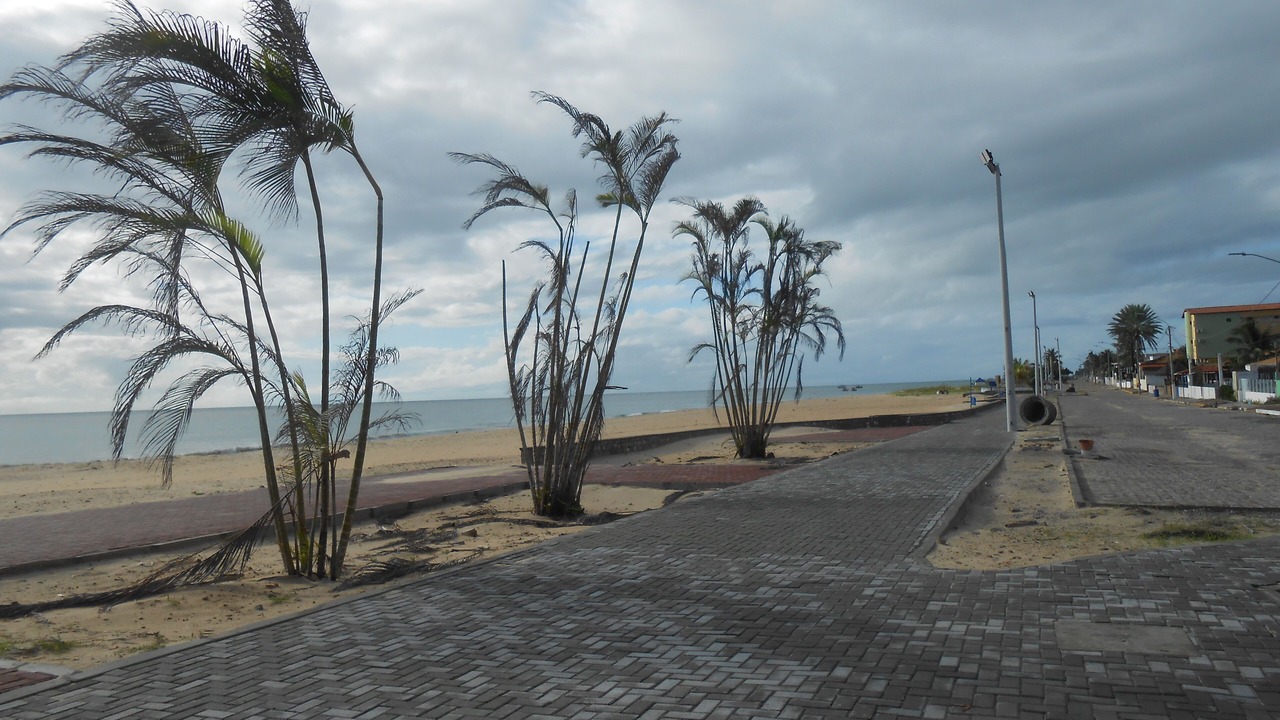 Photo of Others in Pirangi do Norte