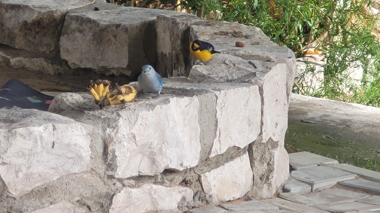 Photo of Outdoor in Petrolina