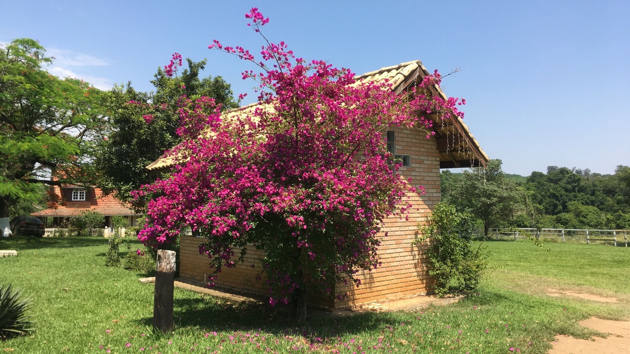Photo of Outdoor in Boituva