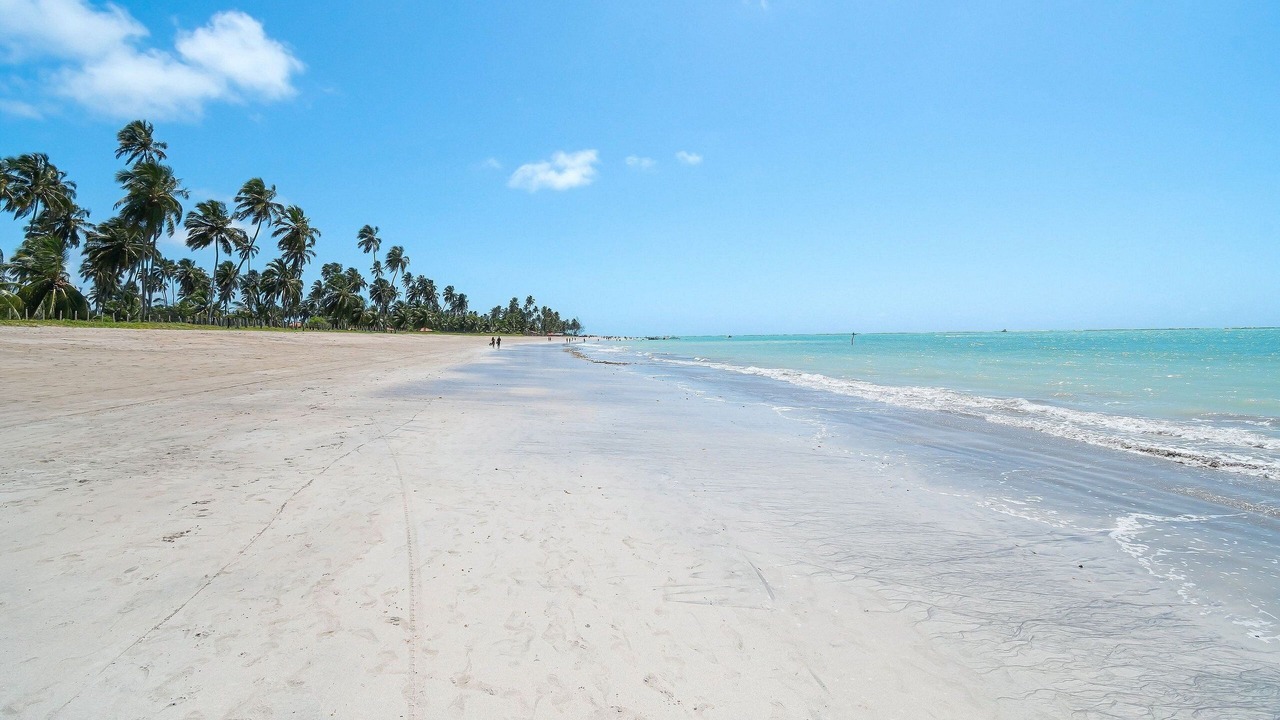 Photo of Others in Barra Grande