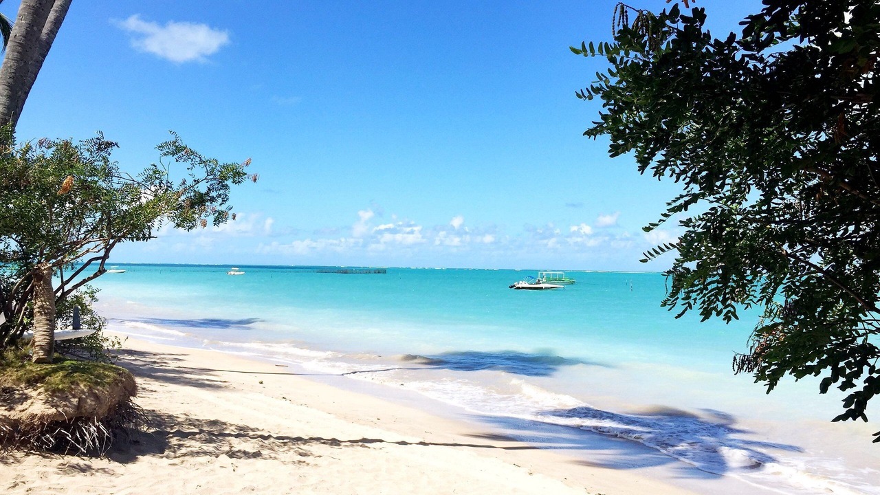 Photo of Others in Barra Grande
