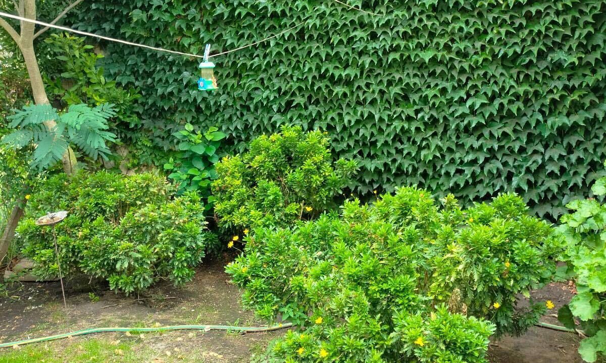 Photo of Outdoor in Santa Clara del Mar
