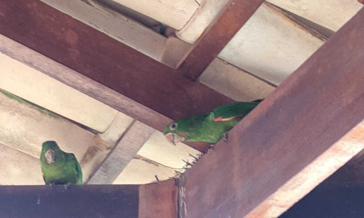 Photo of Others in Parque Velho Hotel