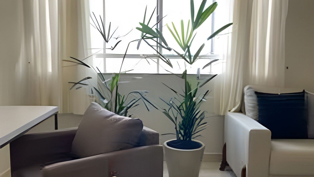 Photo of Livingroom in Franca