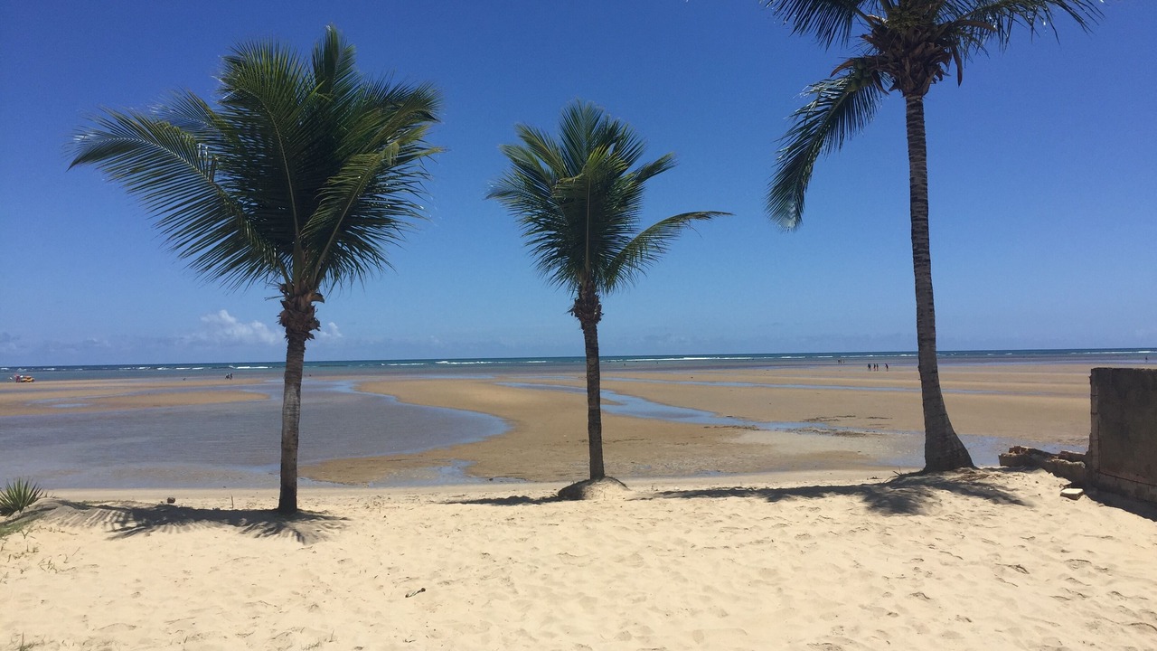 Photo of Others in Sao Jose da Coroa Grande