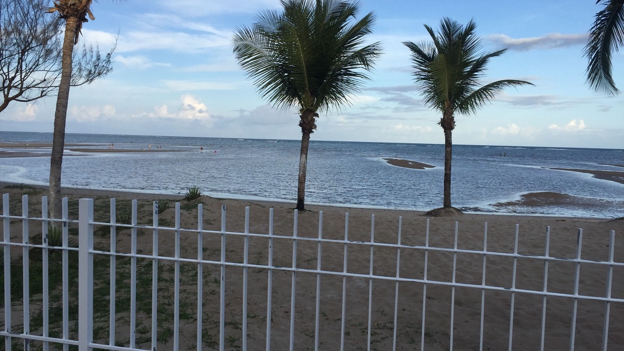 Photo of Others in Sao Jose da Coroa Grande