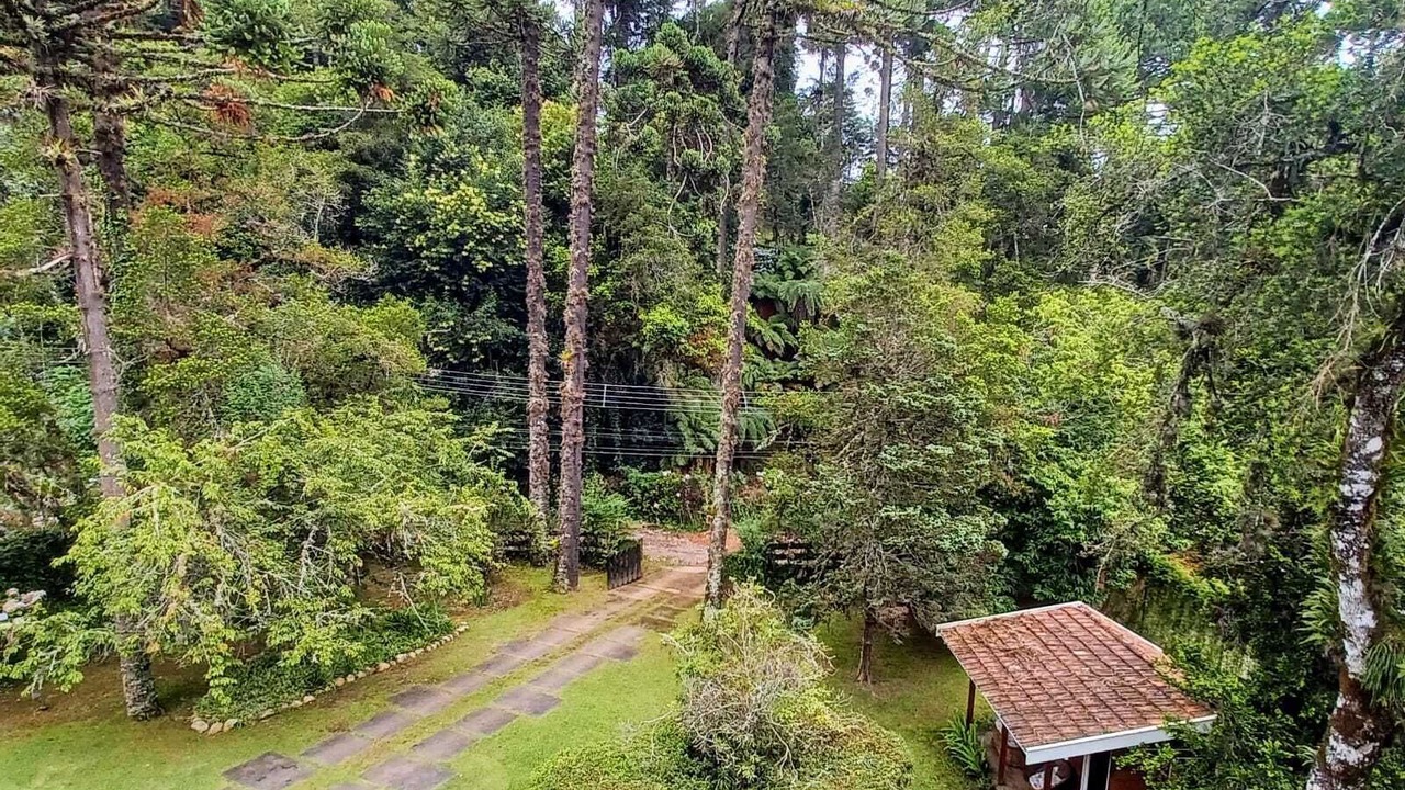 Photo of Outdoor in Jaguaribe