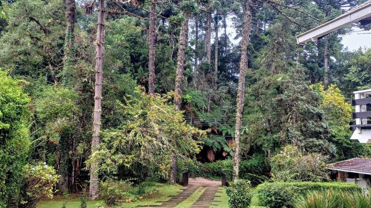 Photo of Outdoor in Jaguaribe