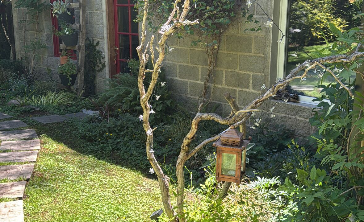 Photo of Outdoor in San Carlos de Bariloche