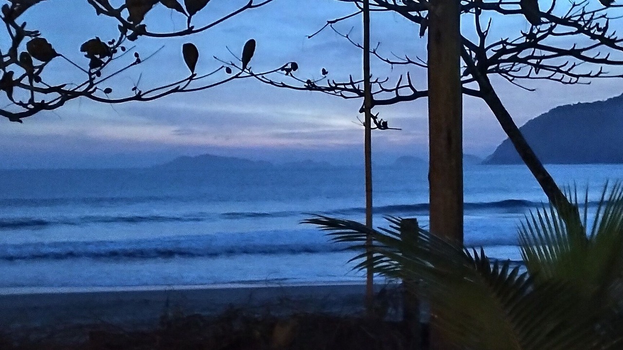 Photo of Others in Camburi