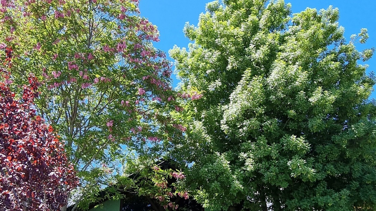 Photo of Outdoor in Trevelin