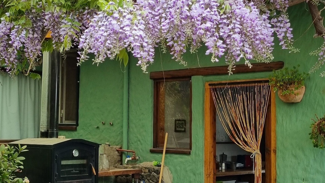 Photo of Outdoor in Trevelin