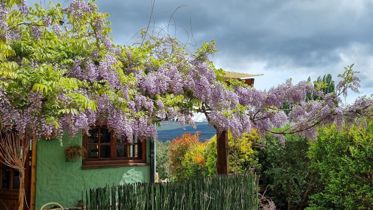 Photo of Outdoor in Trevelin