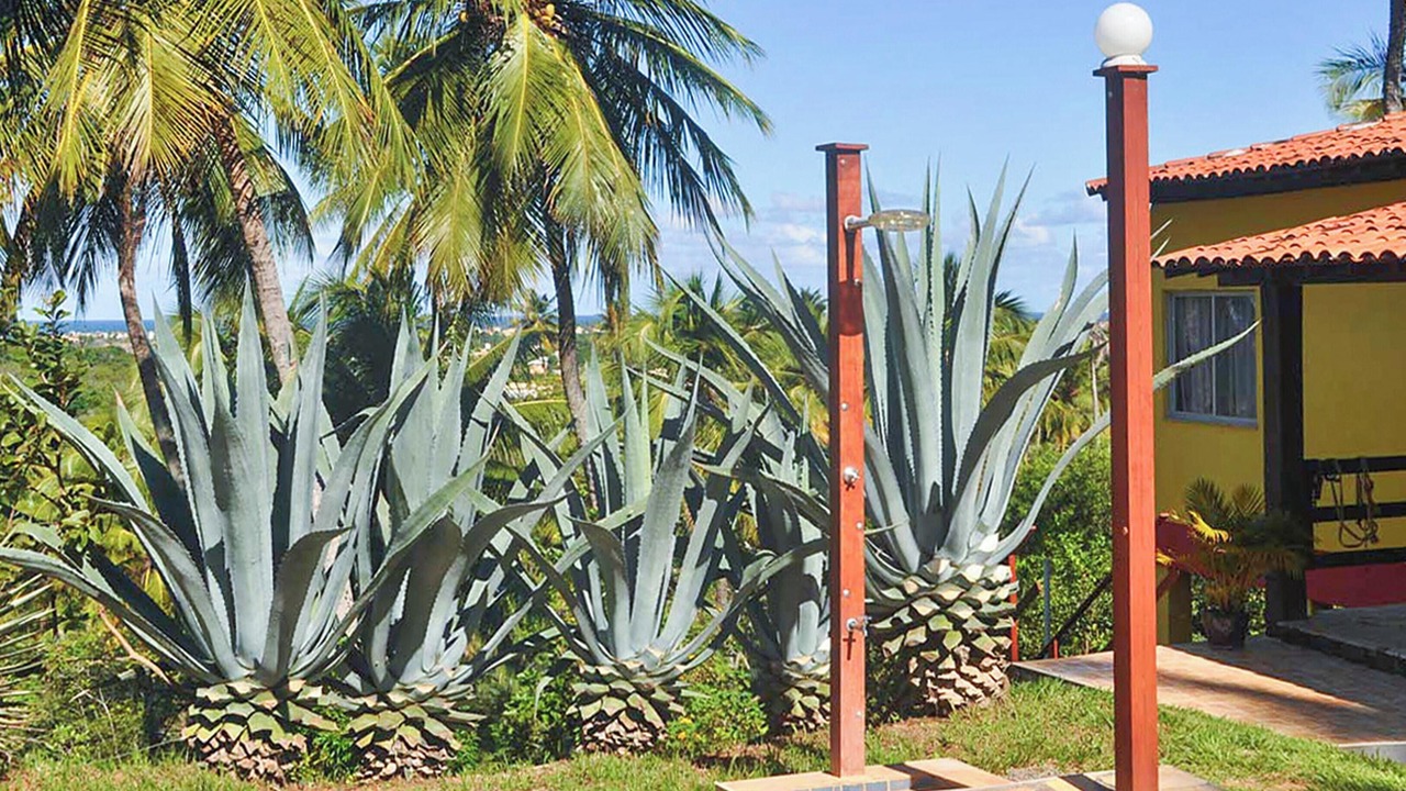 Photo of Outdoor in Barra do Jacuipe