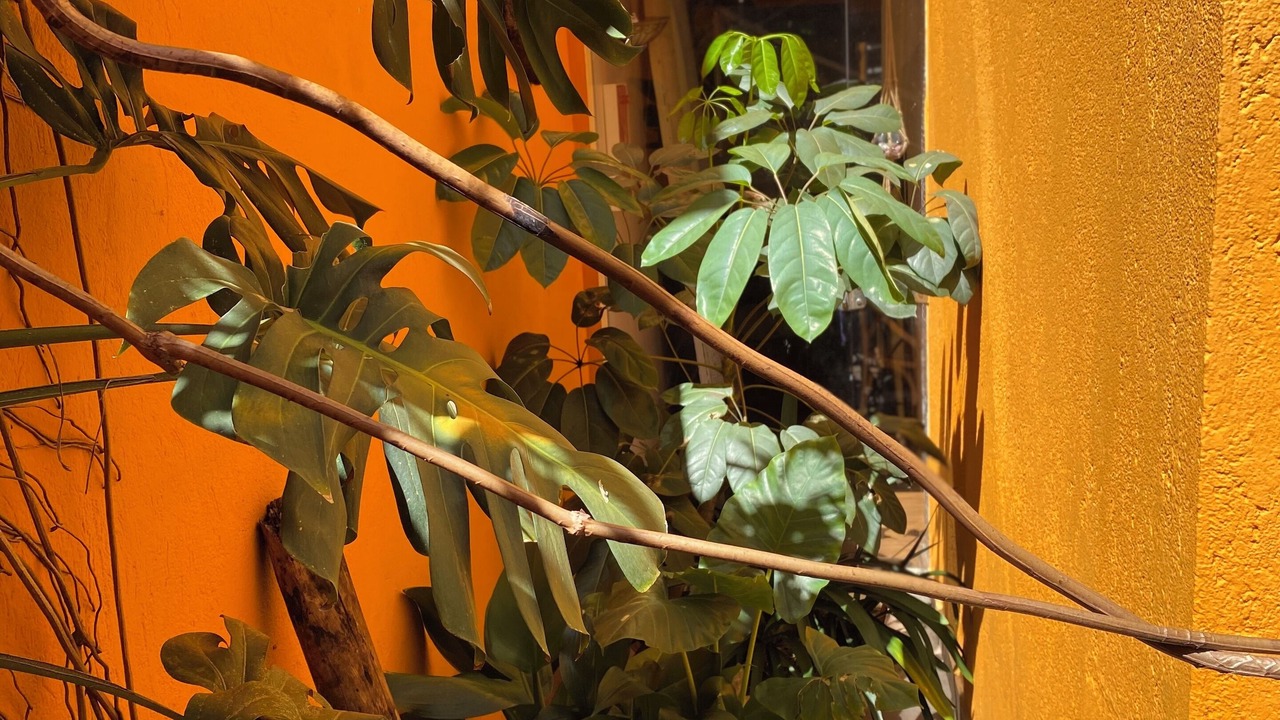 Photo of Outdoor in Paraiso