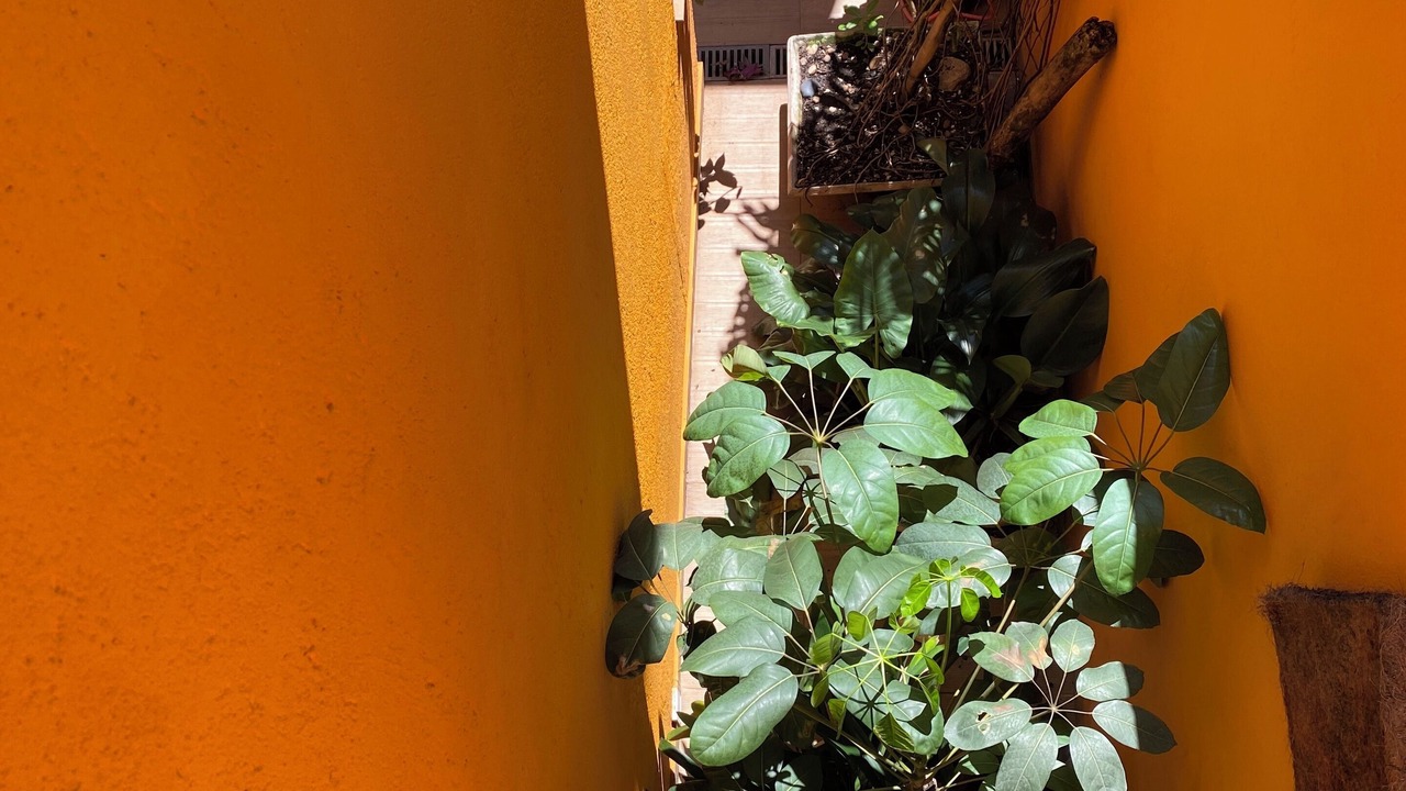 Photo of Outdoor in Paraiso