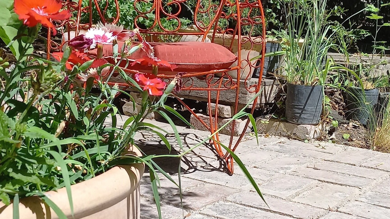 Photo of Patio Balcony in Chacras de Coria