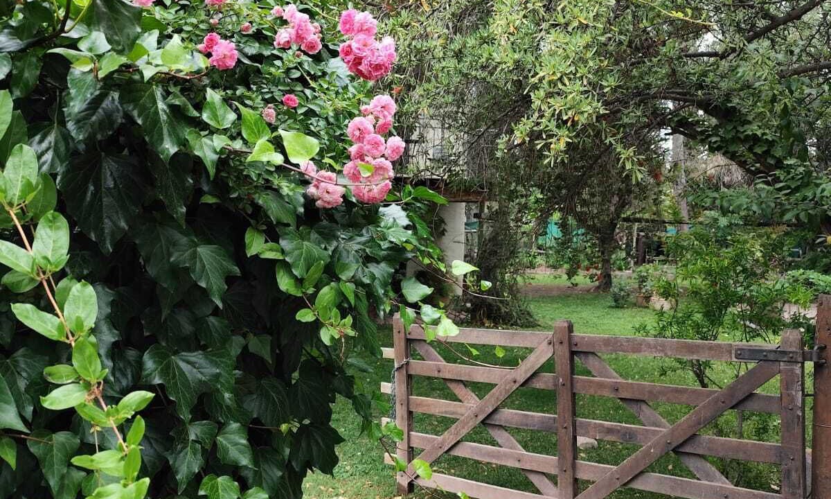 Photo of Outdoor in Chacras de Coria