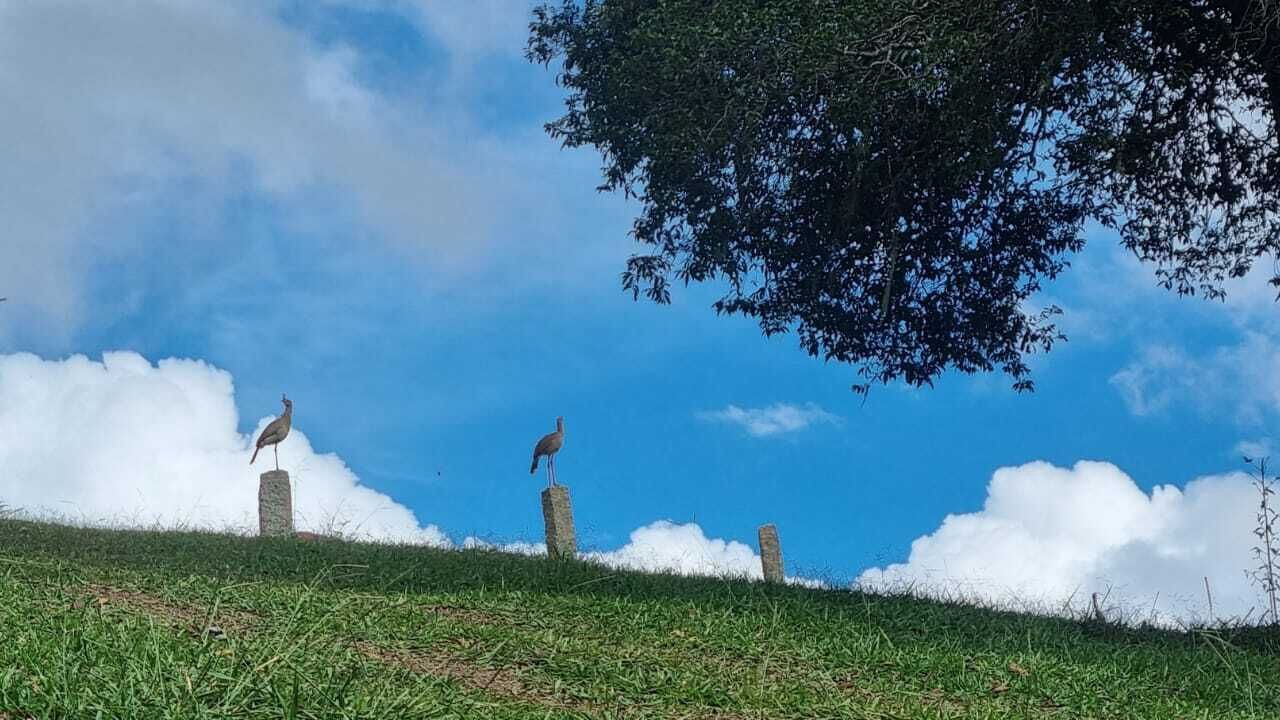 Photo of Others in Cunha