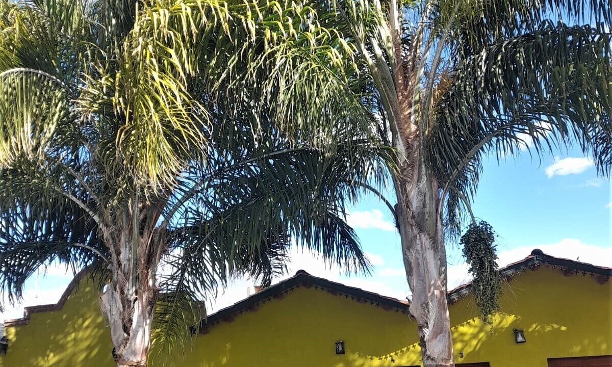 Photo of Outdoor in La Rioja