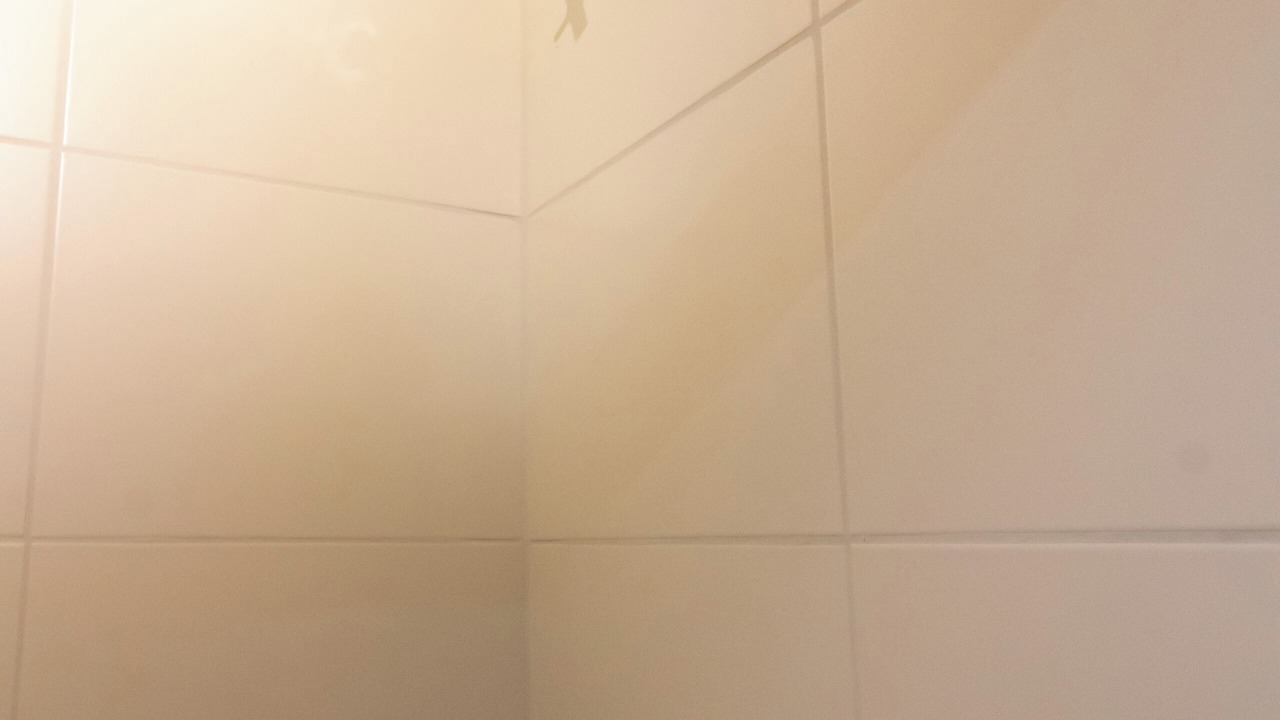 Photo of Bathroom in Guarulhos