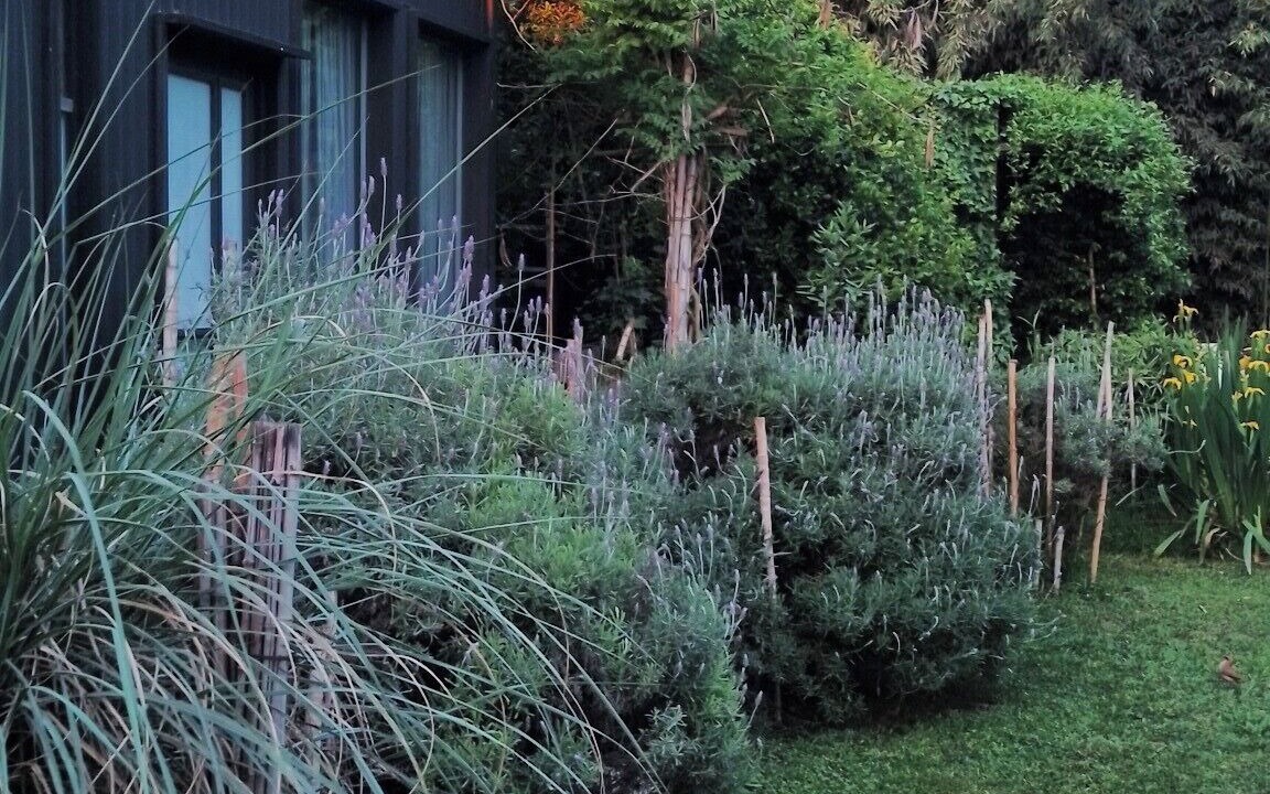 Photo of Outdoor in San Miguel del Monte