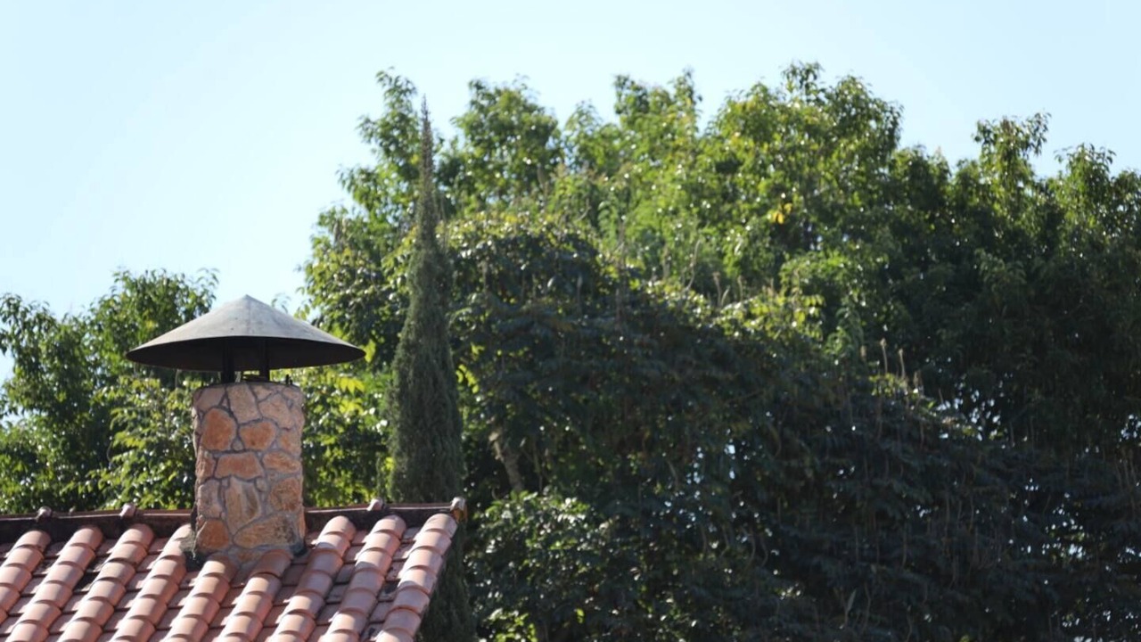 Photo of Others in Amparo