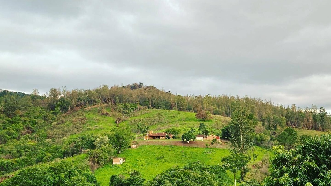 Photo of Others in Amparo