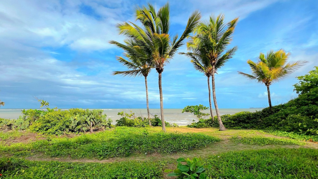 Photo of Outdoor in Jardim Oceania
