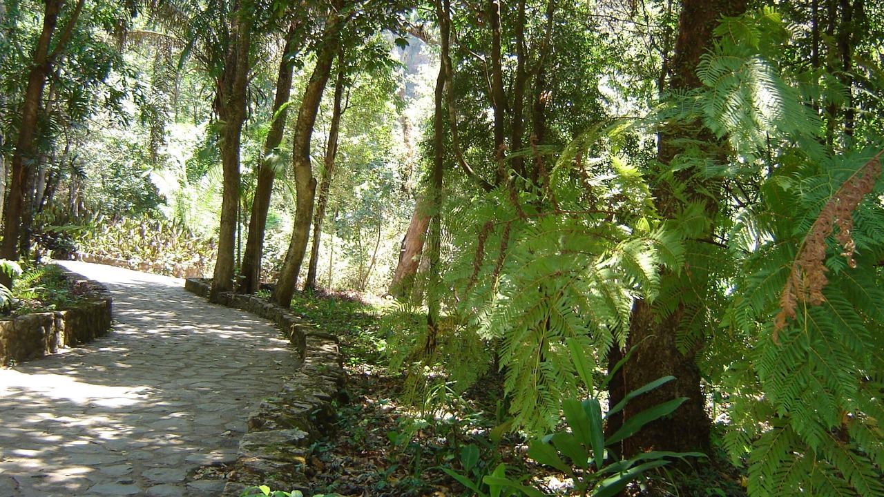 Photo of Outdoor in Formosa