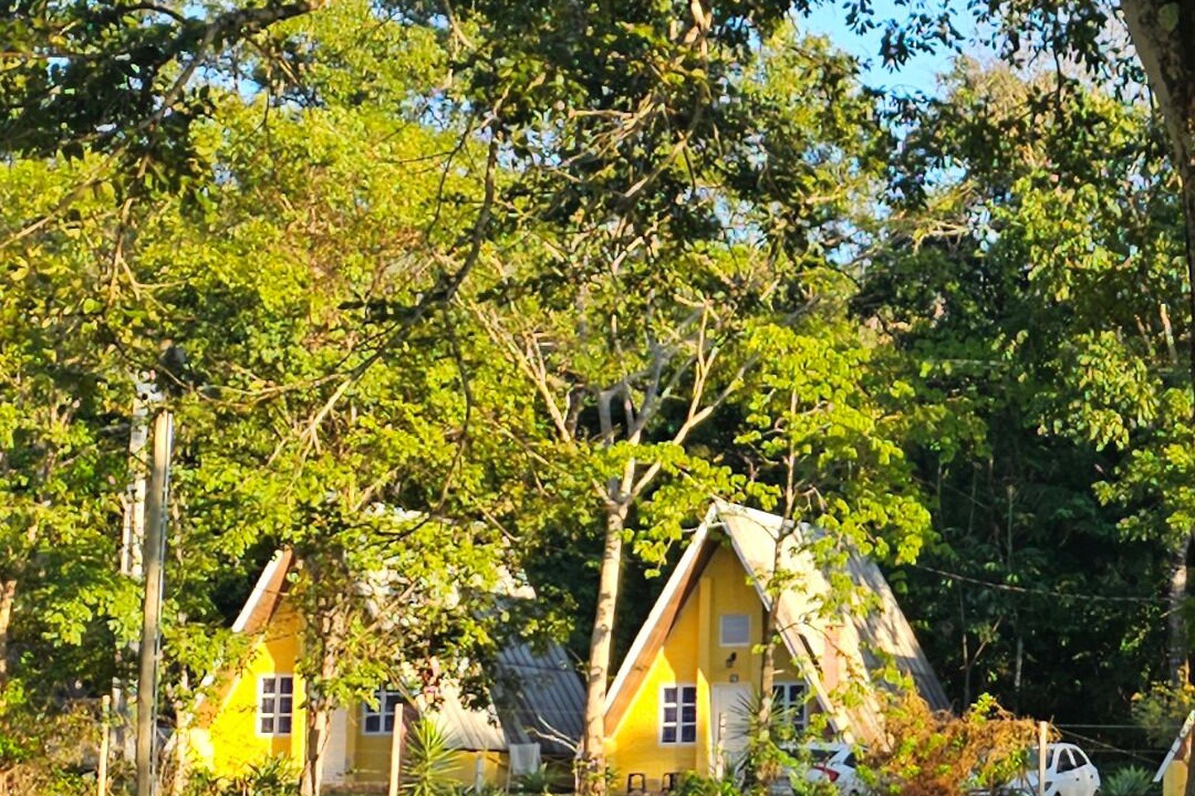 Photo of Outdoor in Formosa
