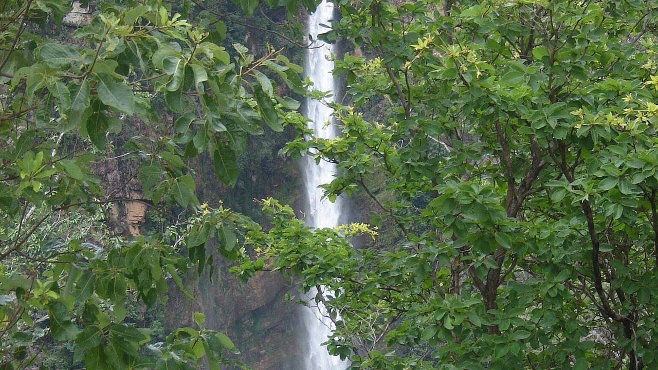 Photo of Outdoor in Formosa