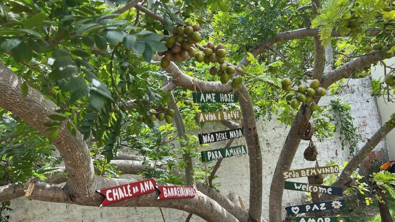 Photo of Outdoor in Barreirinhas