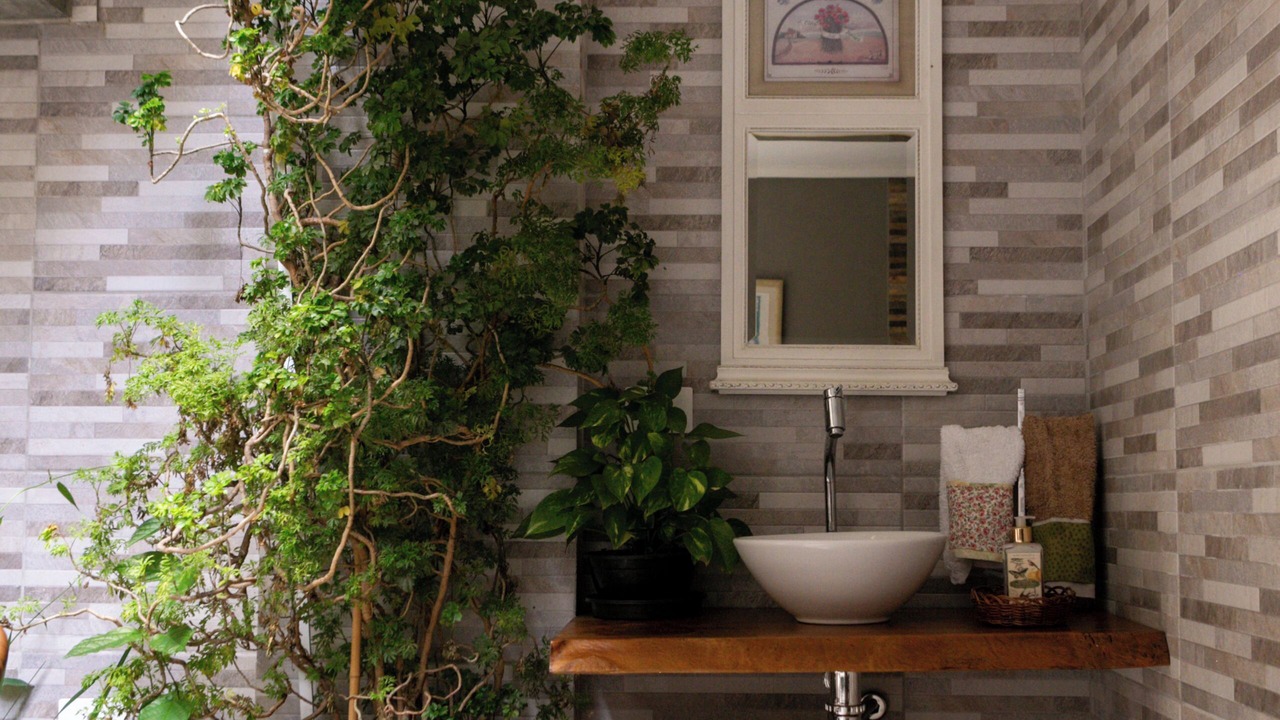 Photo of Bathroom in Paraiso