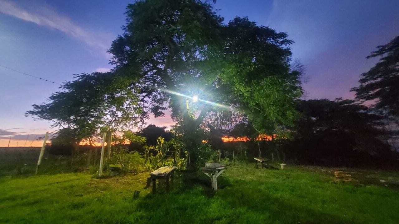 Photo of Outdoor in Piracicaba