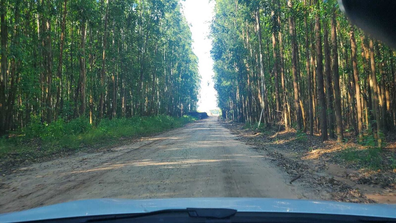 Photo of Others in Piracicaba