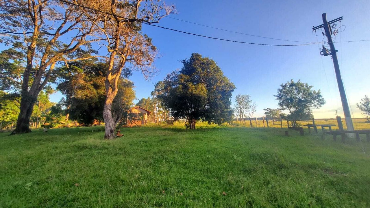 Photo of Others in Piracicaba