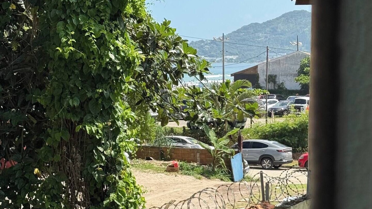 Photo of Outdoor in Tenorio