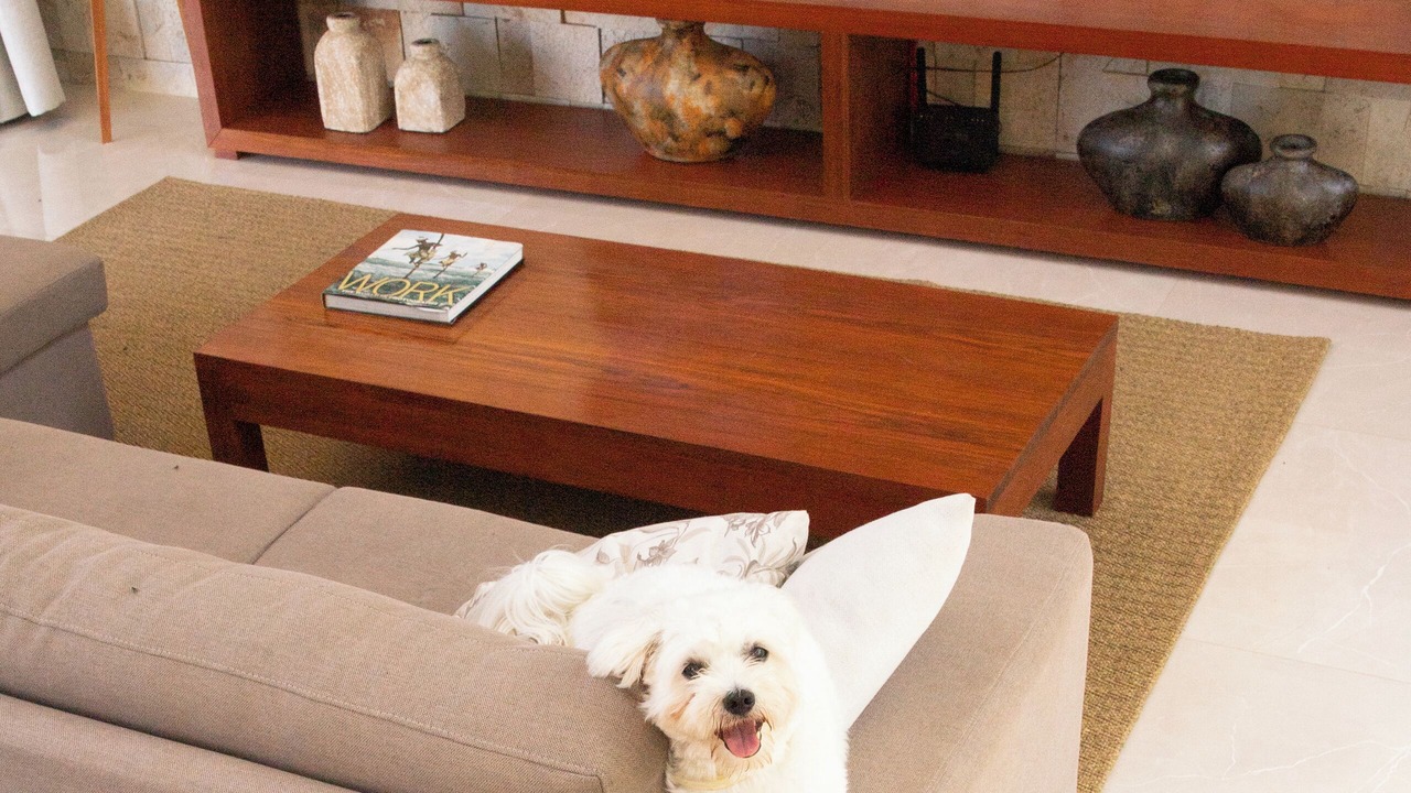 Photo of Livingroom in Pipa
