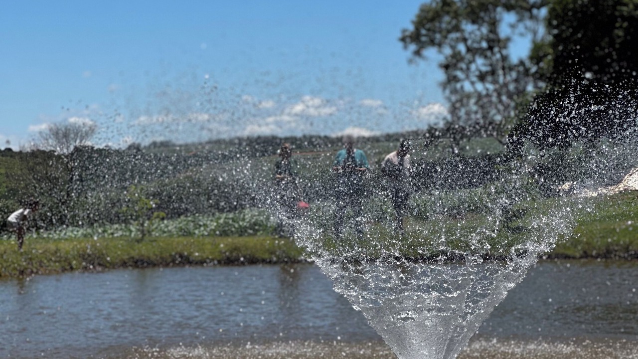 Photo of Others in Torrinha