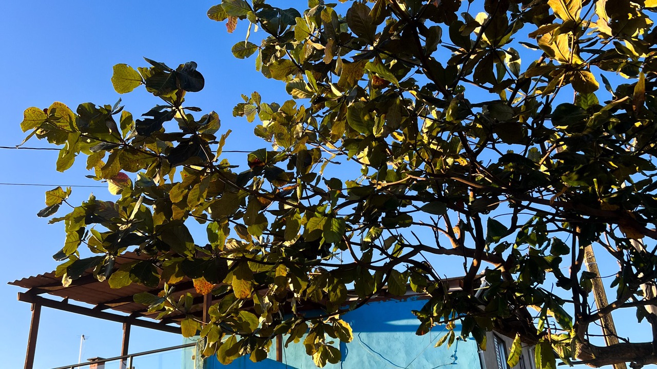 Photo of Outdoor in Mongagua
