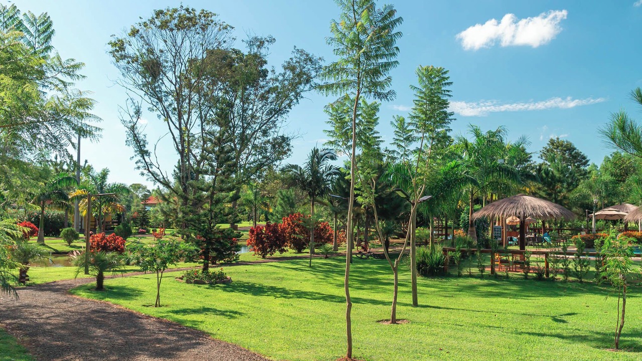Photo of Outdoor in Alto Parana Department