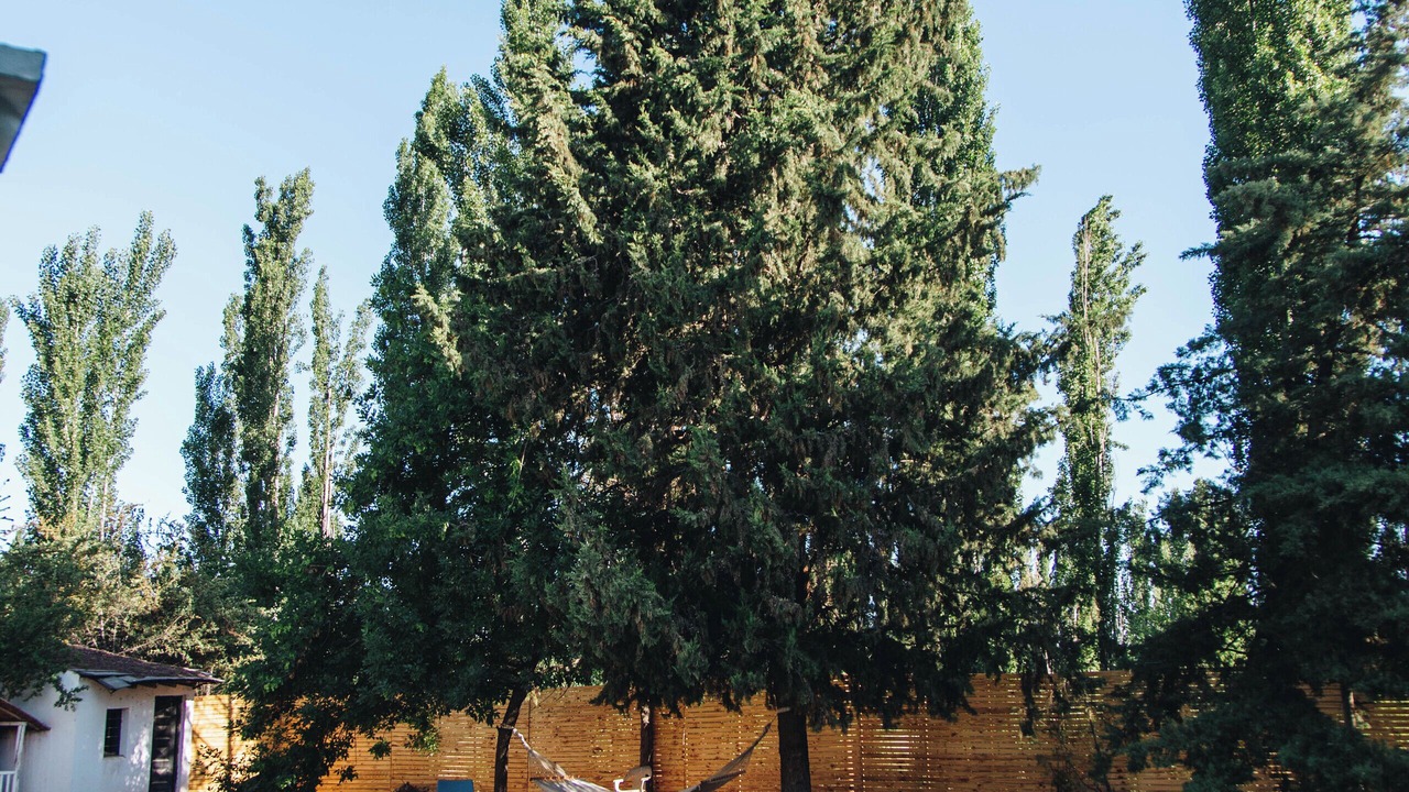 Photo of Outdoor in Chacras de Coria