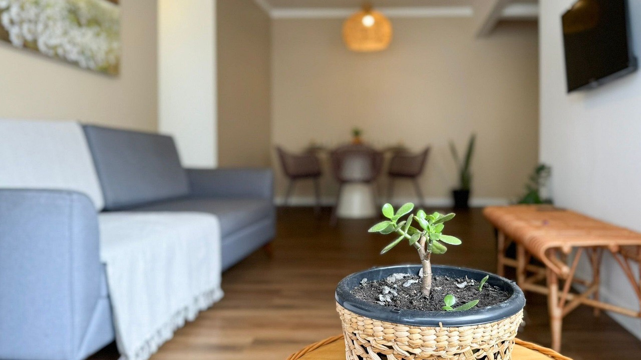 Photo of Livingroom in Jurere