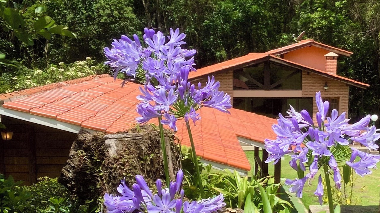Photo of Outdoor in Itatiba